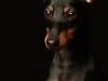 Adam004