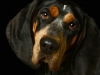 BettyEmit001