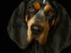 BettyEmit002