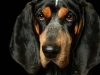 BettyEmit003