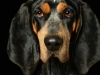 BettyEmit004