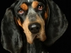 BettyEmit005