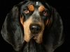 BettyEmit006