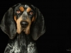 BettyEmit007