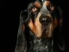 BettyEmit008