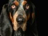 BettyEmit009