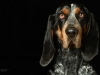 BettyEmit010