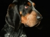 BettyEmit011