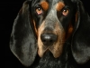 BettyEmit012
