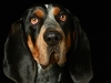 BettyEmit013