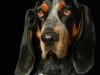 BettyEmit014