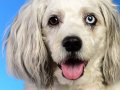 BennyKaya001
