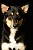 Butzen001