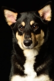 Butzen002