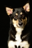 Butzen003