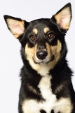 Butzen004