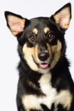 Butzen005