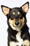 Butzen006