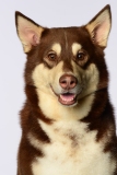 Butzen007