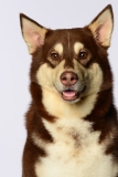 Butzen008