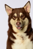 Butzen009