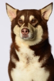 Butzen010