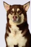 Butzen012