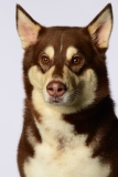 Butzen014