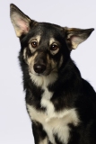 Butzen015