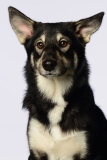 Butzen017