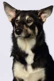 Butzen020