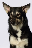 Butzen021