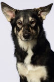 Butzen024