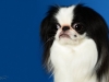 Chins005
