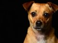 Coco001
