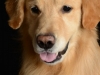 Cooper008