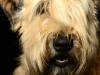 Cooper005