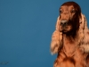 irishsetter-002