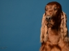 irishsetter-004