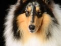 Jake006