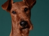Jesse002