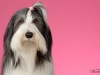Laverne002