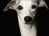 maddie009-jpg
