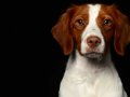 Maggie005
