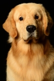 Bo001