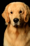 Bo002