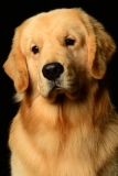 Bo003