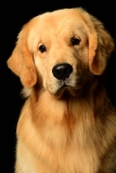 Bo005