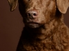 Molly001