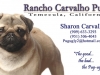 businesscard-3.5inx2in-h-front
